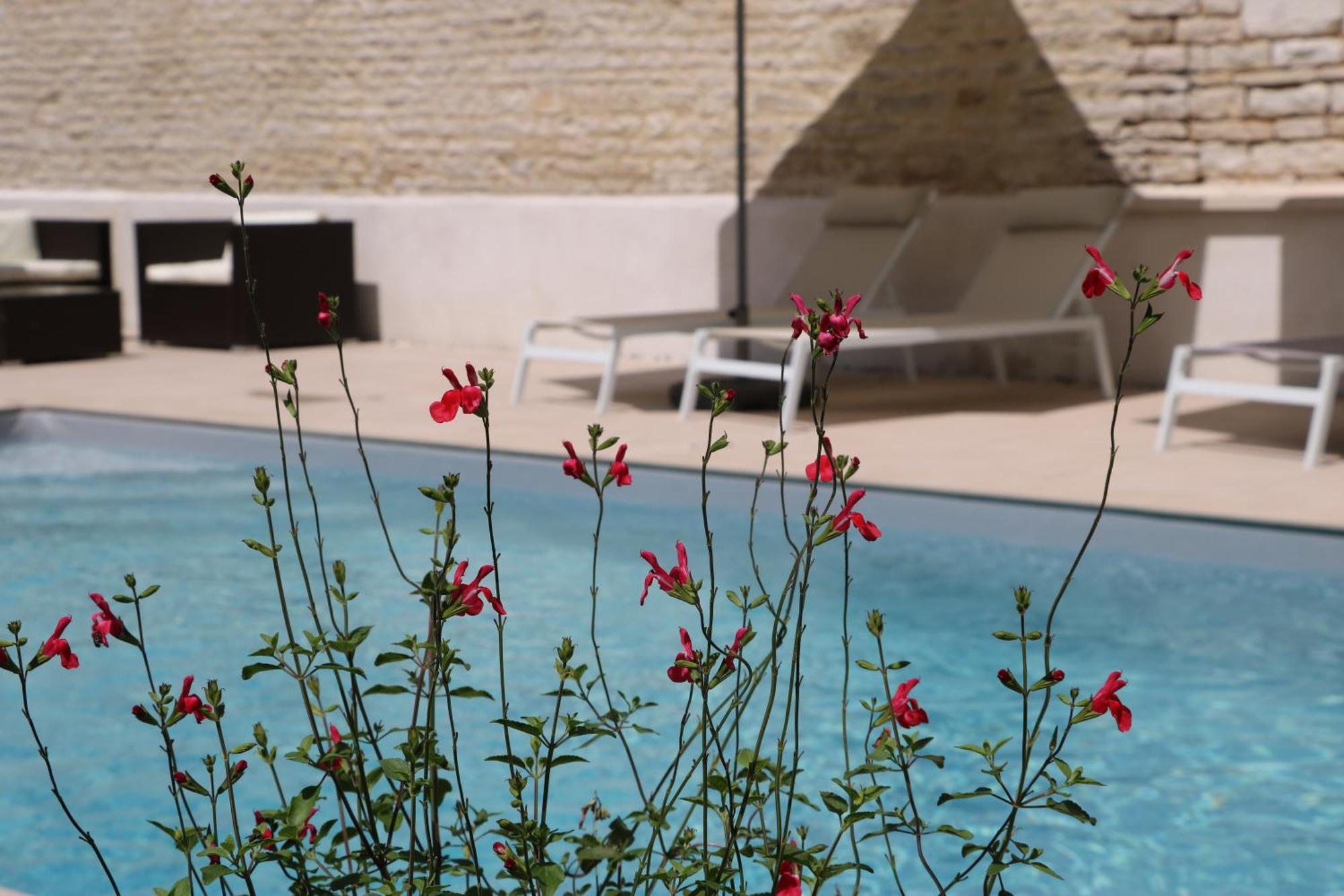 La Villa Lombardi En Champagne, Avec Piscine Privee Et Jacuzzi Les Riceys Bagian luar foto
